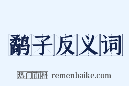 鹬子反义词是什么意思的图片
